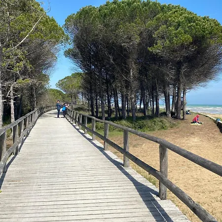 Three-room Bright Flat 150m From The Sea