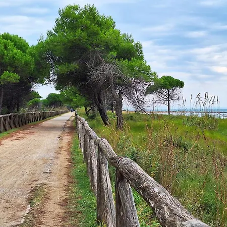 Apartment Three-room Bright Flat 150m From The Sea *